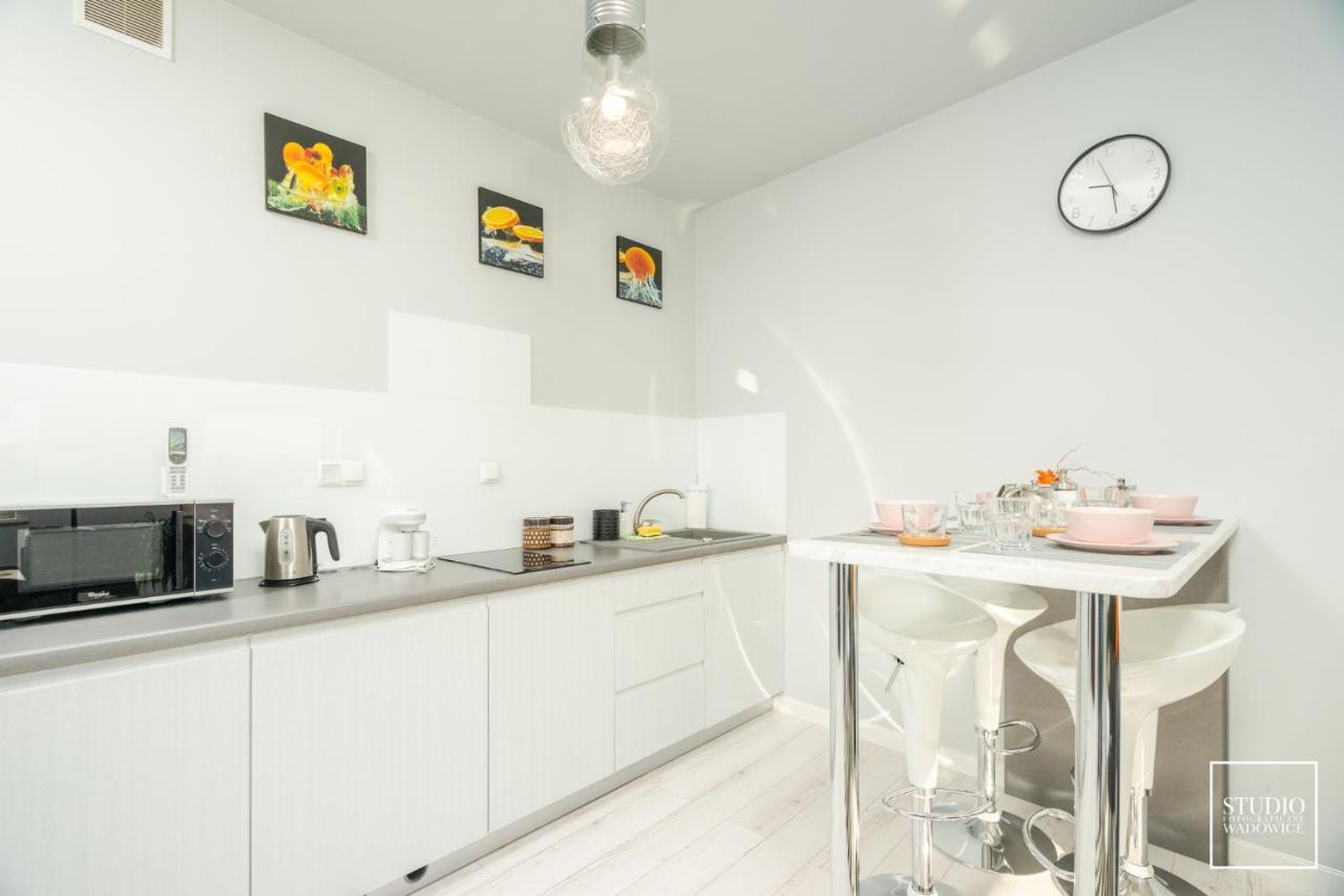 Апартаменти Apartament Modern Вадовіце Екстер'єр фото